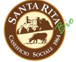 Santa Rita