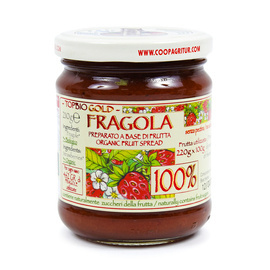 TOP BIO GOLD FRAGOLA 100% OWOCÓW KONFITURA TRUSKAWKA 210G BEZ CUKRU Agritur