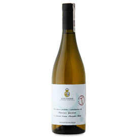 WINO T 2016 TREBBIANO 100% BIAŁE GUCCIONE